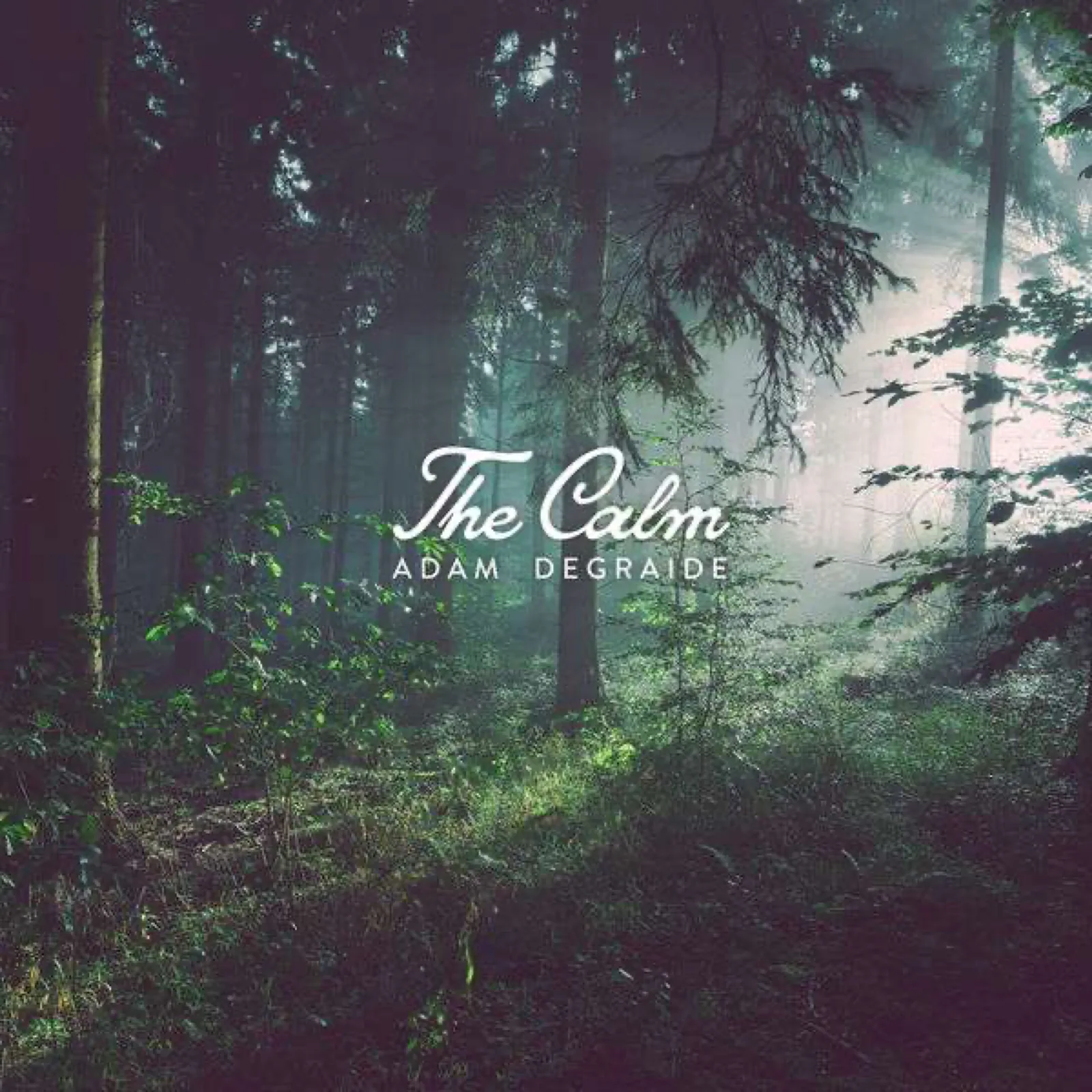 Adam DeGraide The Calm Album Cover