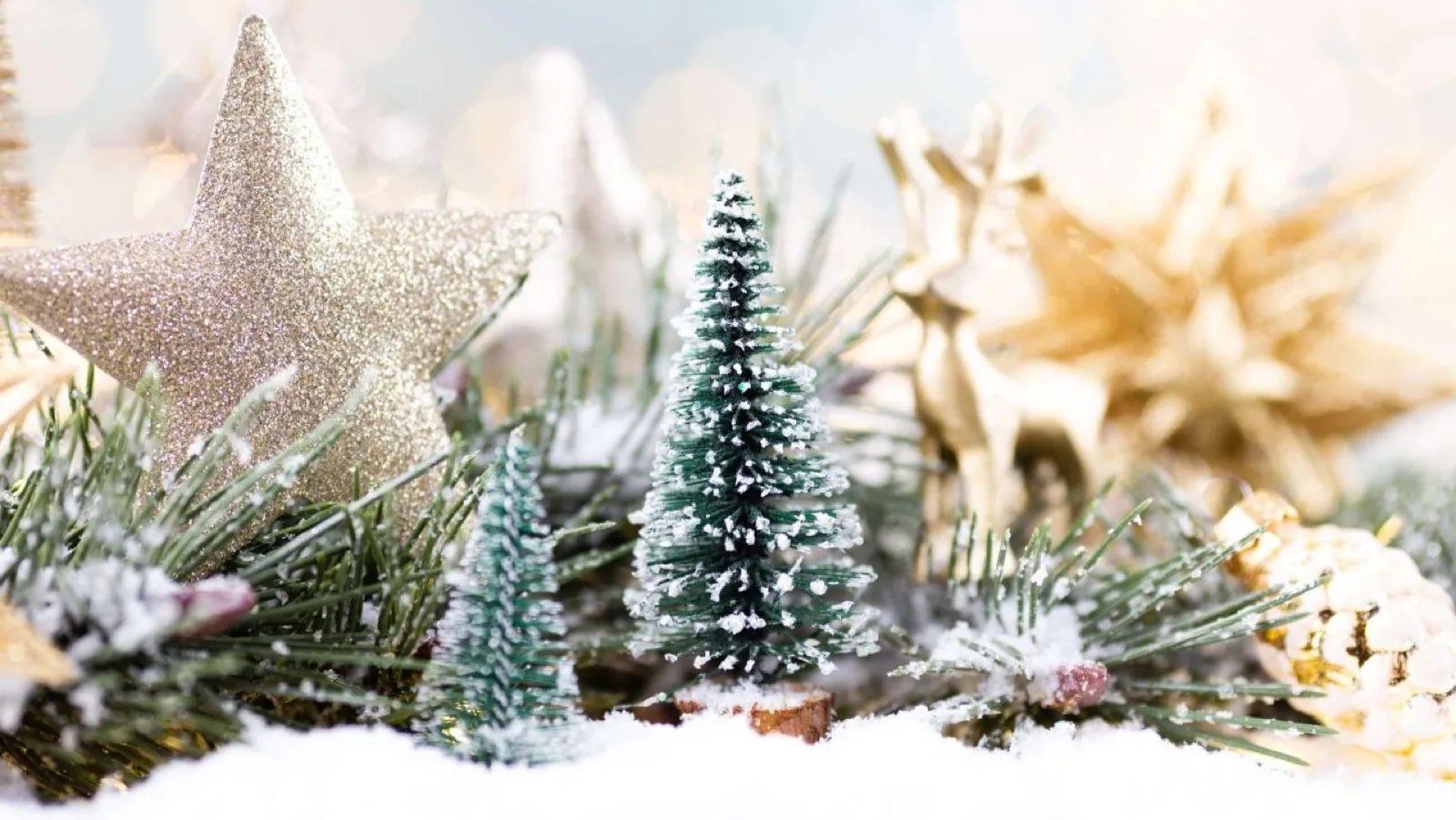 Holiday and Christmas Music